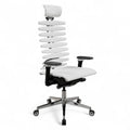 Anatomische directiestoel met metalen frame en equalizer
