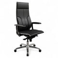 Metallgestell Samurai 1 Ergonomischer Chefsessel