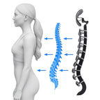 Anatomische directiestoel met metalen frame en equalizer