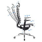 Anatomische directiestoel met metalen frame en equalizer