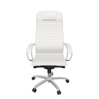 Anatomische directiestoel met metalen frame en equalizer