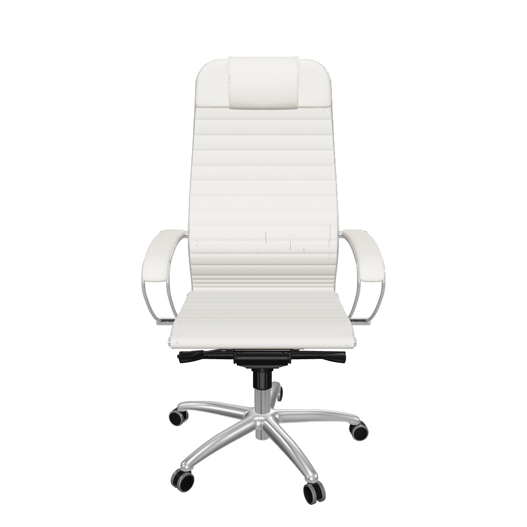 Anatomische directiestoel met metalen frame en equalizer