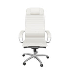 Anatomische directiestoel met metalen frame en equalizer
