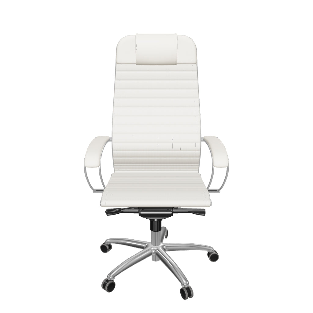 Anatomische directiestoel met metalen frame en equalizer