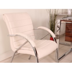 Apple Istanbul Bureau Uitvoerend Bureau Hg. Okkernoot