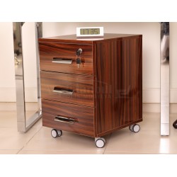 Apple Istanbul Bureau Uitvoerend Bureau Hg. Okkernoot