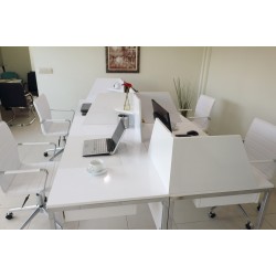 In Het Multi Zealand Bureau Voor Vier Personen 276X138Cm