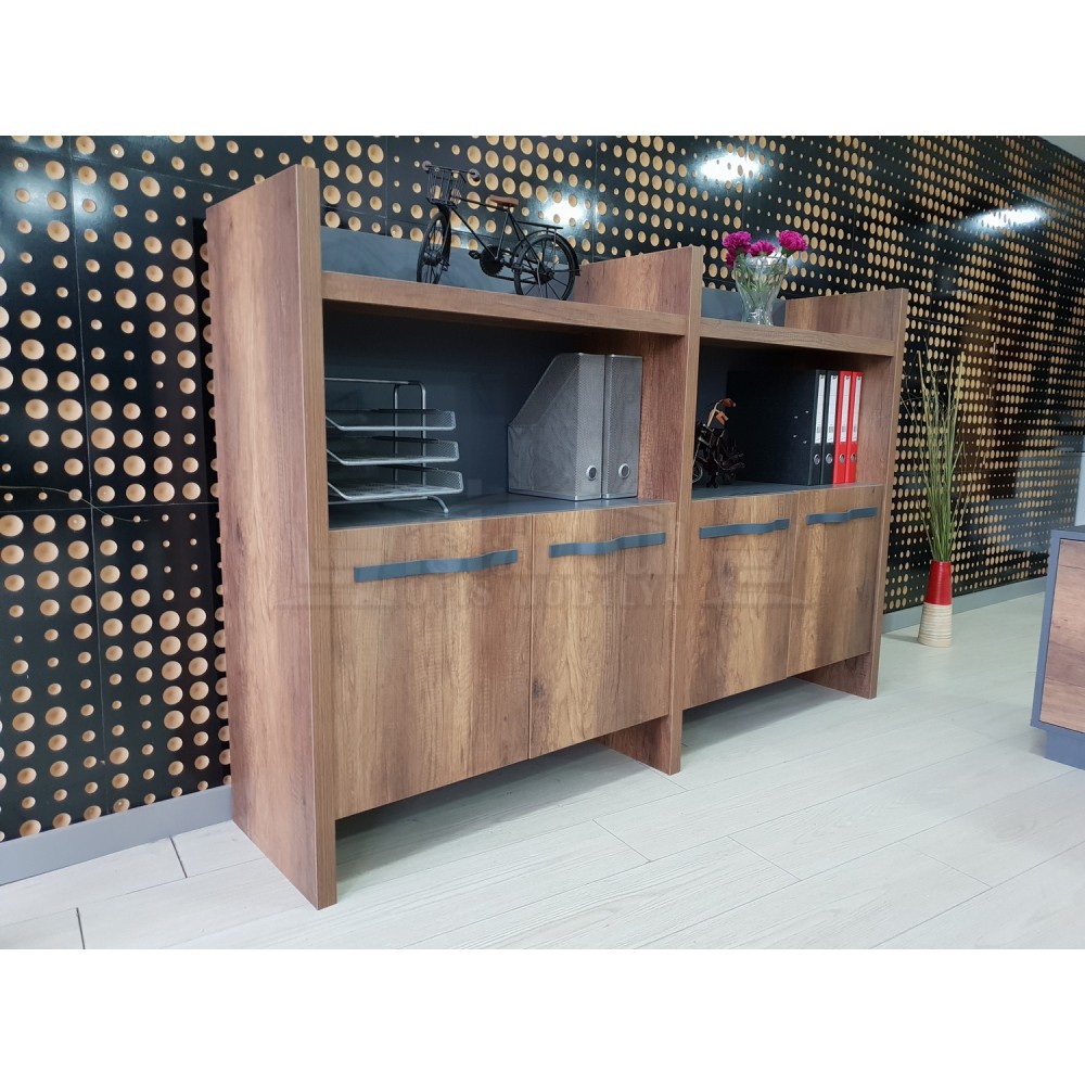 Elegant Cabinet Office