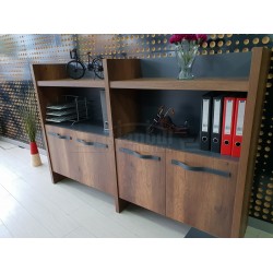 Elegant Cabinet Office