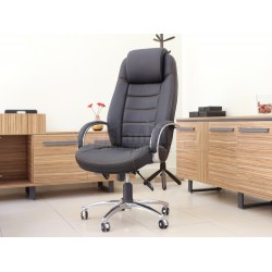 Dem Uitvoerende Stoel