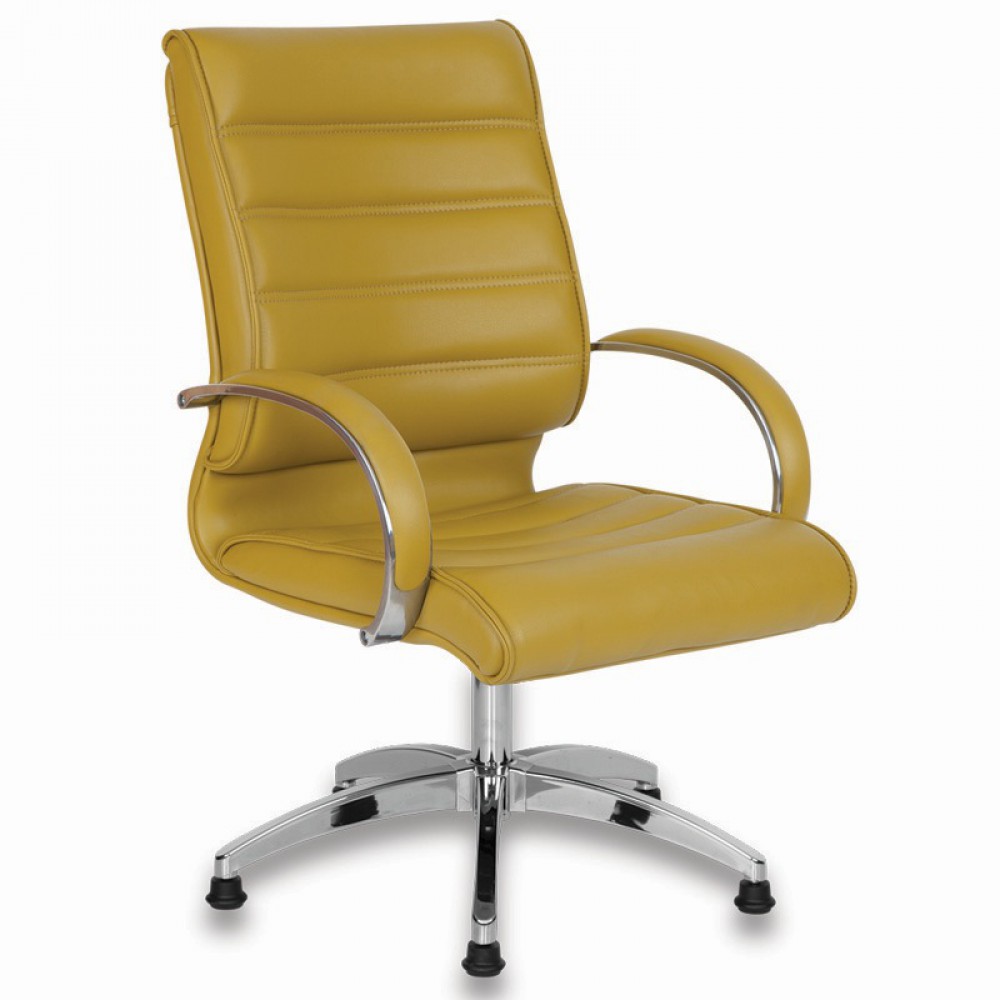 Lord Guest Chair Stars