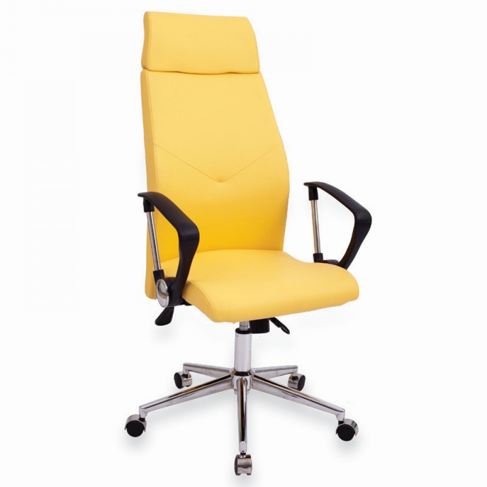 Onna Uitvoerende Stoel