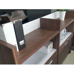 Elegant Cabinet Office