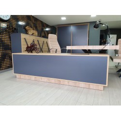 Lexus Executive Office Team