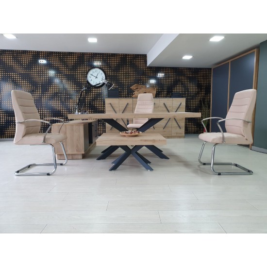 Lexus Executive Office Team