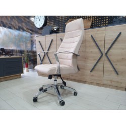 Lexus Executive Office Team