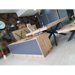 Lexus Executive Office Team