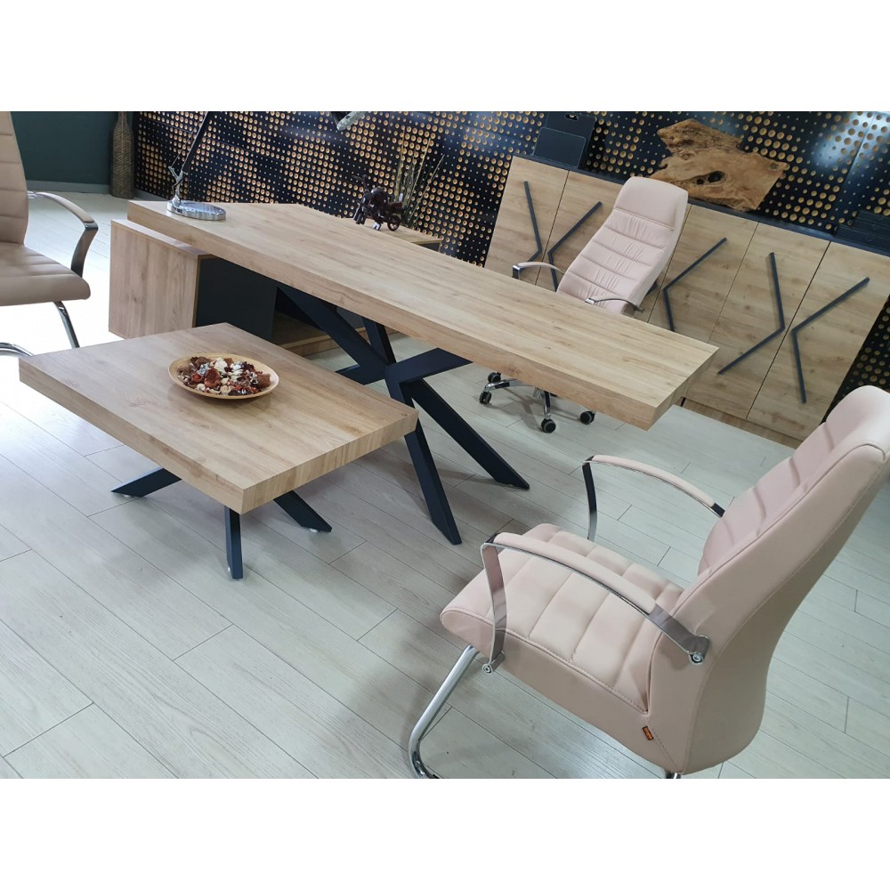 Lexus Executive Office Team