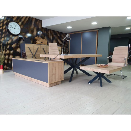 Lexus Executive Office Team
