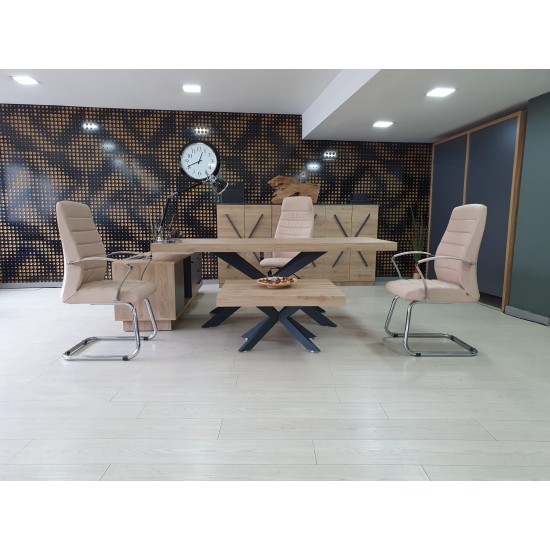 Lexus Executive Office Team