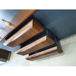 Zweeds Vıp-Managementteam