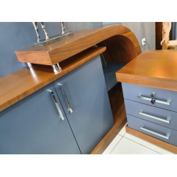 Zweeds Vıp-Managementteam