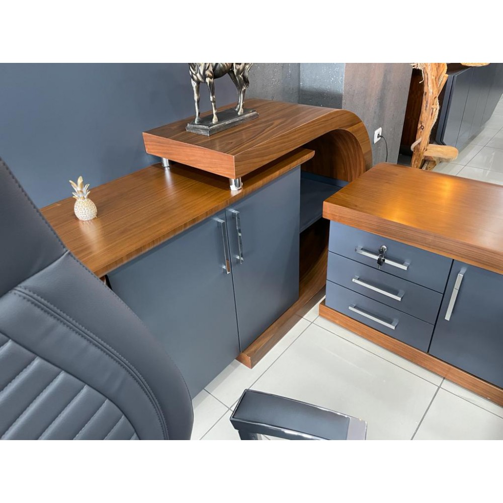 Zweeds Vıp-Managementteam