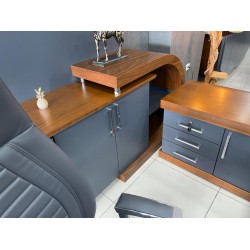 Zweeds Vıp-Managementteam