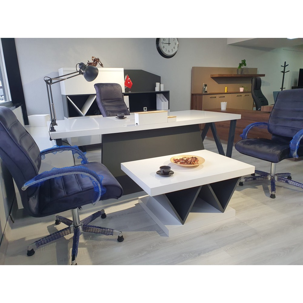 Istanbul Bureau Office Executive Team