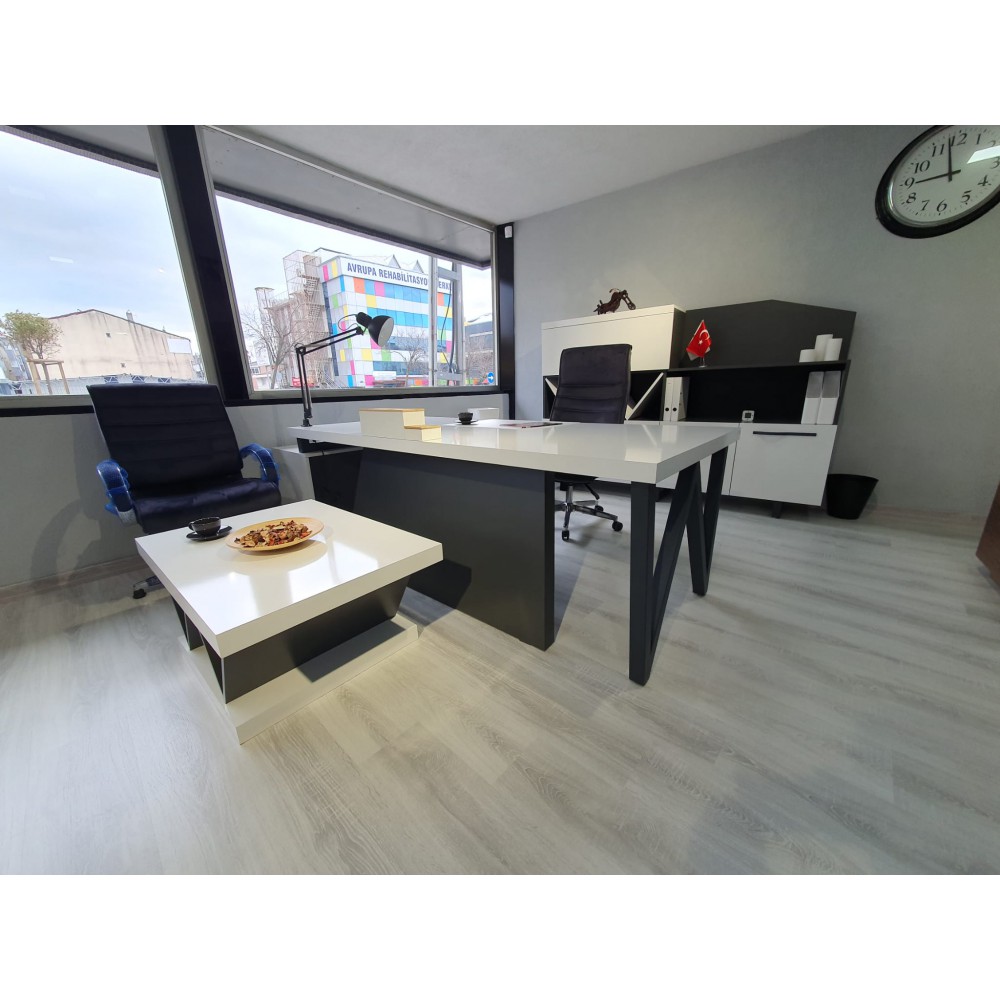 Istanbul Bureau Office Executive Team