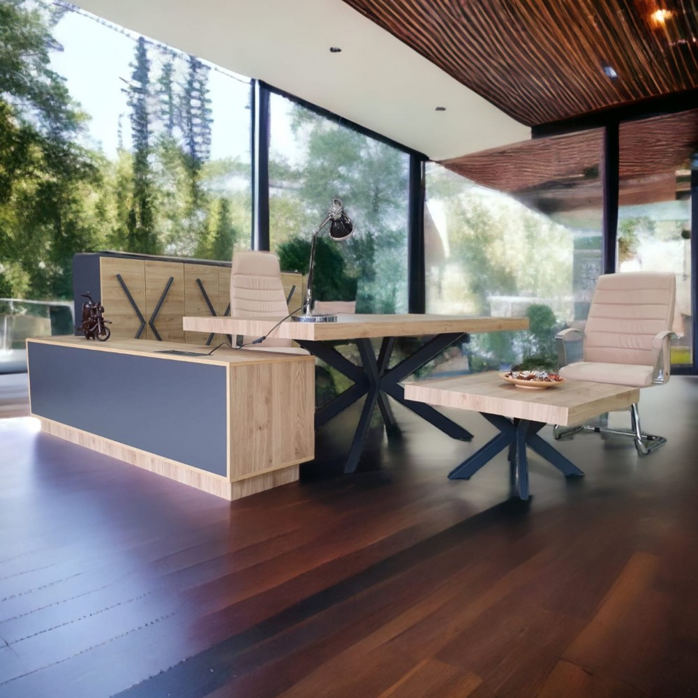 Lexus Executive Office Team