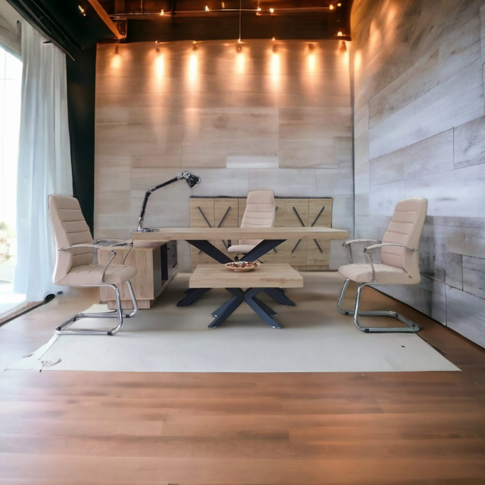 Lexus Executive Office Team