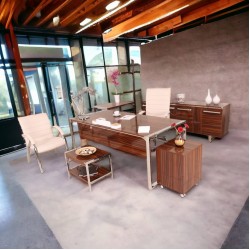 Apple Istanbul Bureau Uitvoerend Bureau Hg. Okkernoot