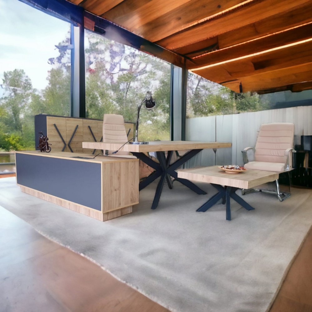 Lexus Executive Office Team