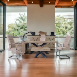 Lexus Executive Office Team