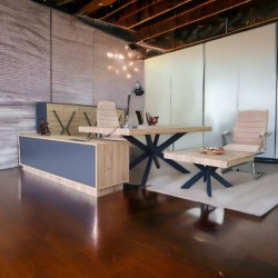 Lexus Executive Office Team