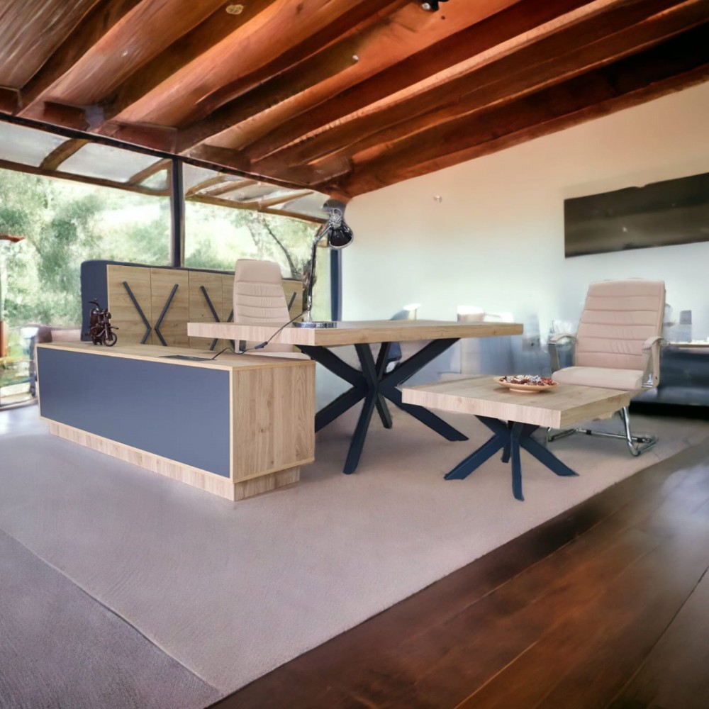 Lexus Executive Office Team