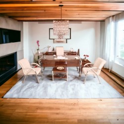 Apple Istanbul Bureau Uitvoerend Bureau Hg. Okkernoot