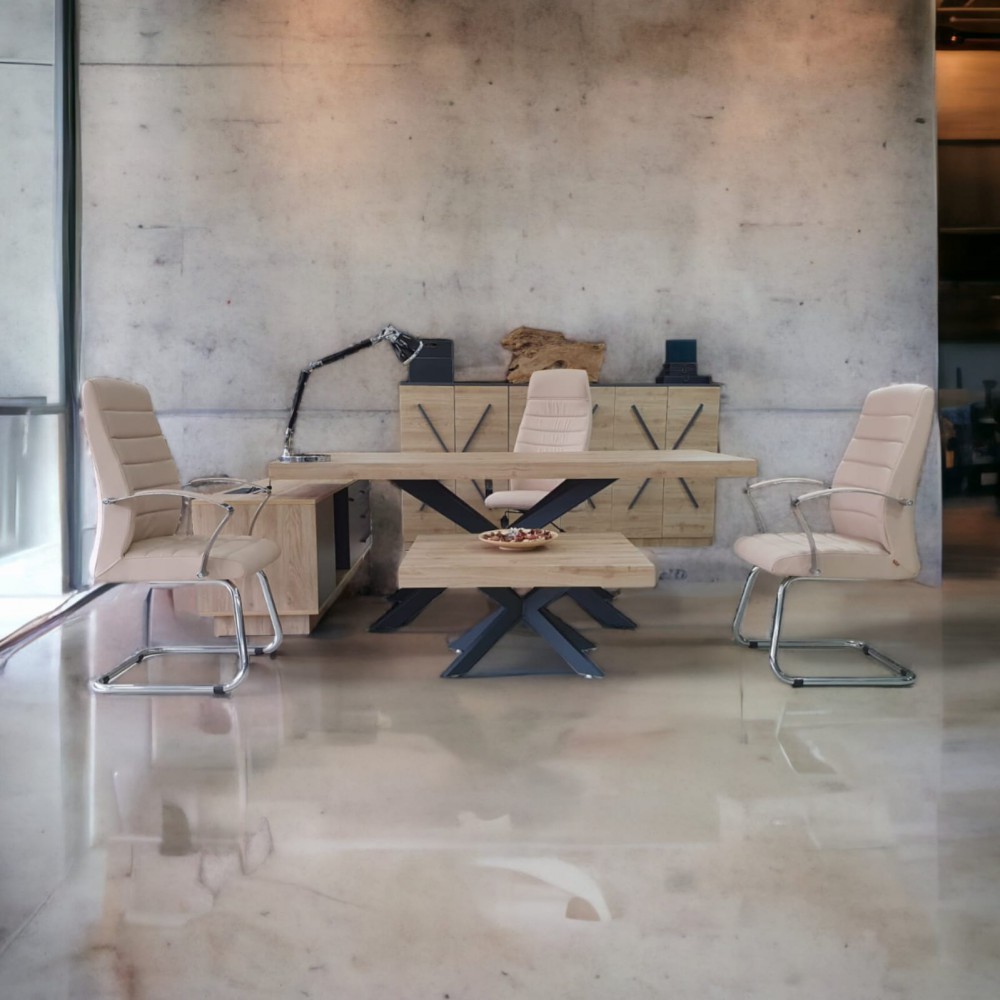 Lexus Executive Office Team