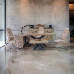 Lexus Executive Office Team