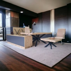 Lexus Executive Office Team