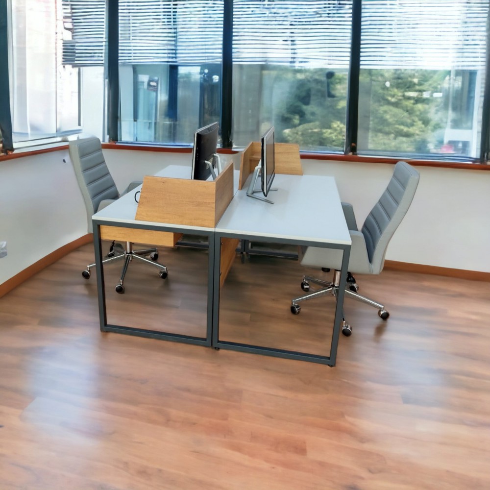 Binaire Werkbureau Zelinda