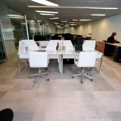 In Het Multi Zealand Bureau Voor Vier Personen 276X138Cm