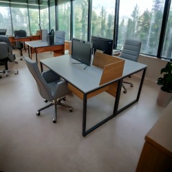 Binaire Werkbureau Zelinda