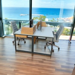 Binaire Werkbureau Zelinda