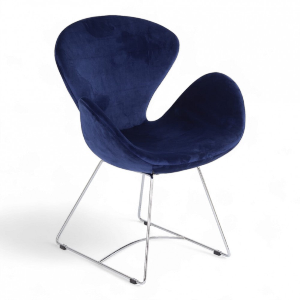 Bardi Gast Trans Voet