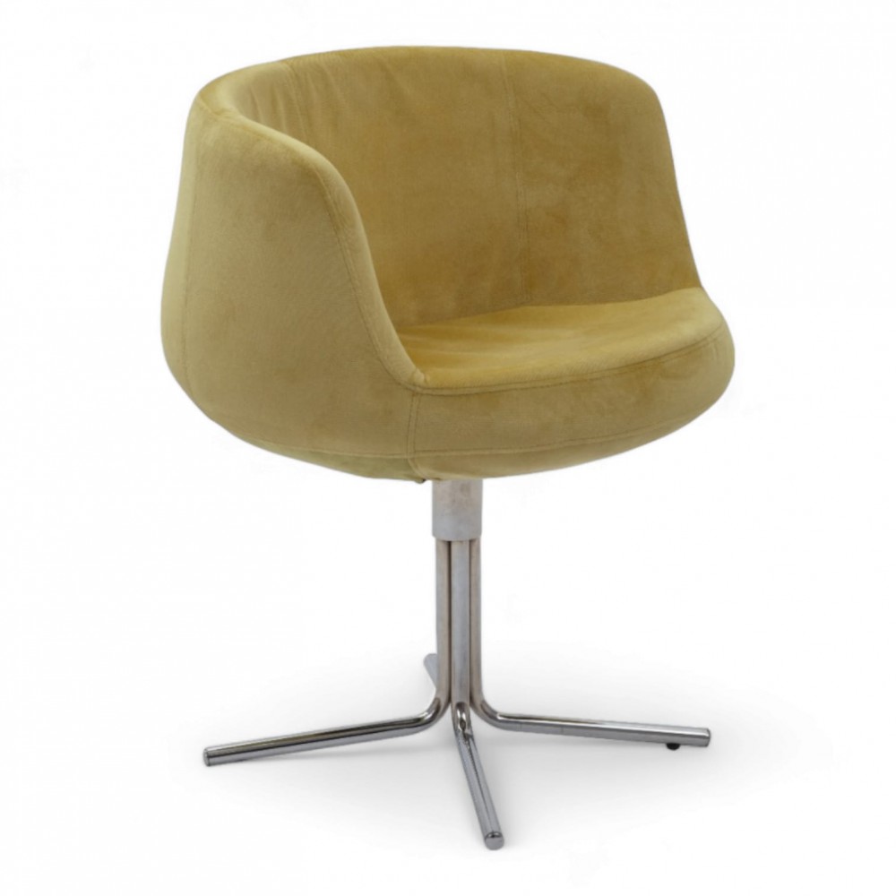 Nar Rebellengaststokvoet