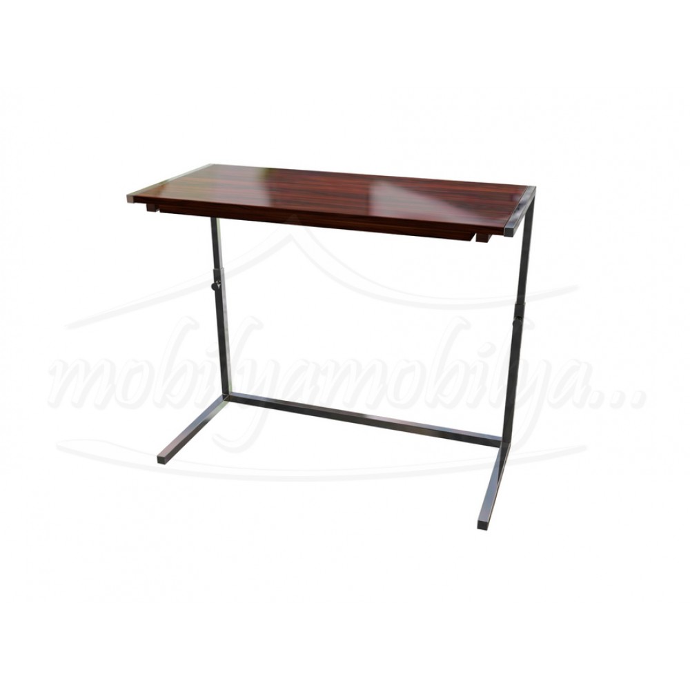 Professional Laptop Desk