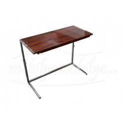 Professional Laptop Desk