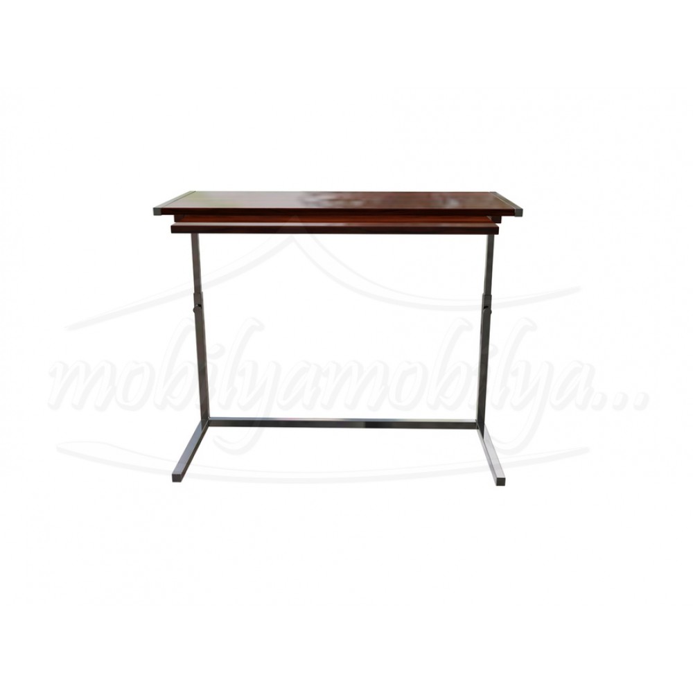 Professional Laptop Desk